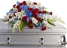 (image for) Distinguished Service Casket Spray
