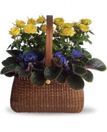 (image for) Garden To Go Plants