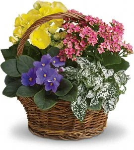 (image for) Spring Has Sprung Bouquet