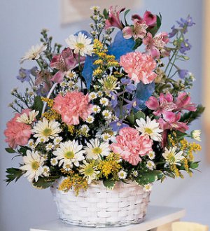 (image for) New Baby Jubilee