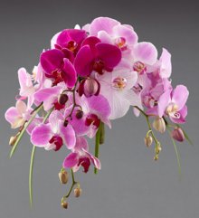 (image for) First Look Bouquet