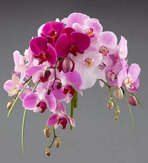 (image for) First Look Bouquet
