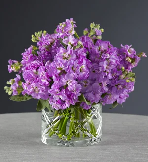 (image for) Wonderful Together Arrangement