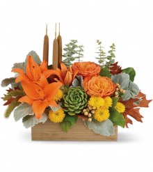 (image for) Autumn Garden