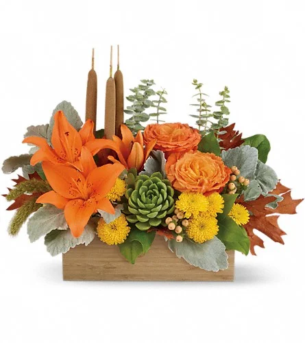 (image for) Autumn Garden