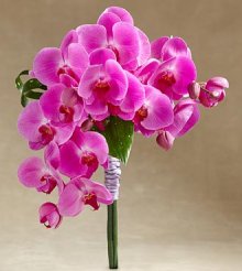 (image for) Glorious Bouquet