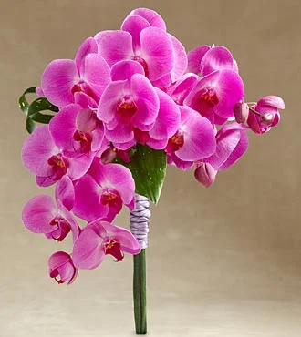 (image for) Glorious Bouquet