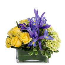 (image for) Spring Connection Bouquet