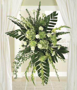 (image for) The Green And White Spray