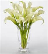 (image for) White Calla Lily Bouquet