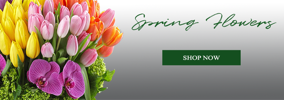 (image for) Spring