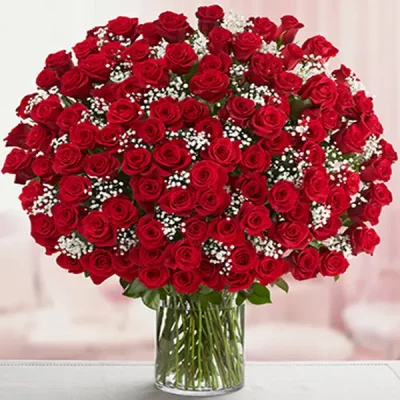 The 100 Red Roses in a Vase