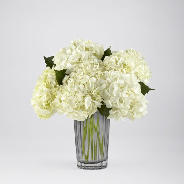 White Hydrangea Bouquet - Click Image to Close