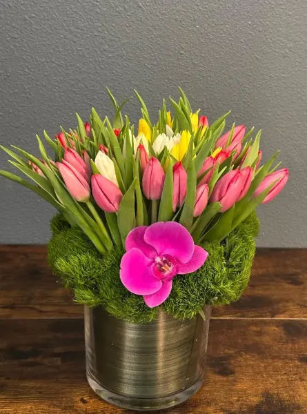 (image for) Absolute Tulip Bouquet- 50 Tulips