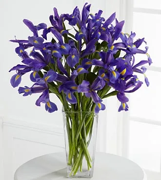 Iris Riches Bouquet - Click Image to Close