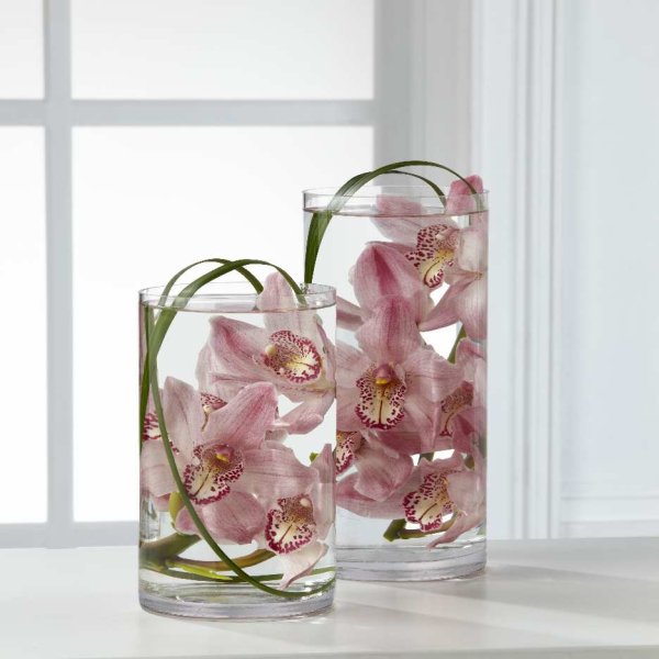 Tranquil Orchid Arrangement - Click Image to Close