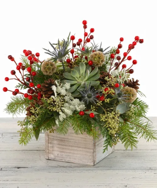 Winter Succulent Box - Click Image to Close