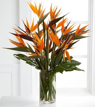 Enticing Luxury Bouquet - Click Image to Close