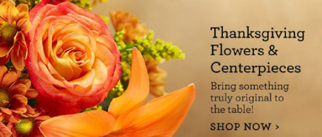 Thanksgiving (image for) Thanksgiving