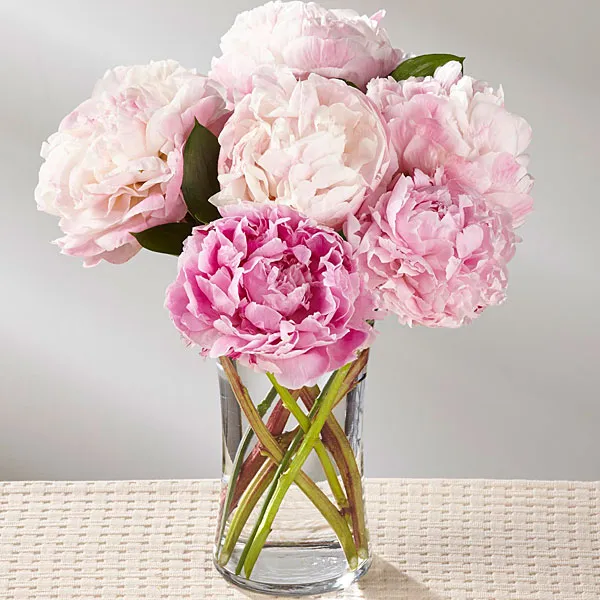 Peony Perfect Bouquet - Click Image to Close