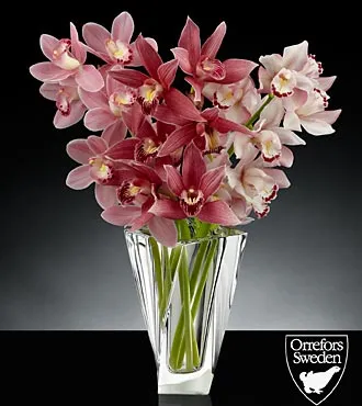 Glistening Grace Luxury Mini Cymbidium Orchid Bouquet - Click Image to Close