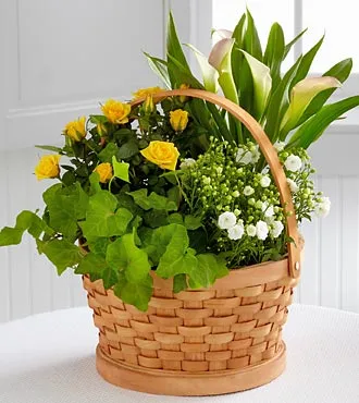 Cheerful Wishes Blooming Basket - Click Image to Close