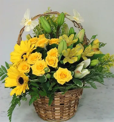 (image for) Sunny Desire Basket