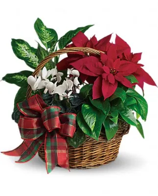 (image for) Holiday Homecoming Basket