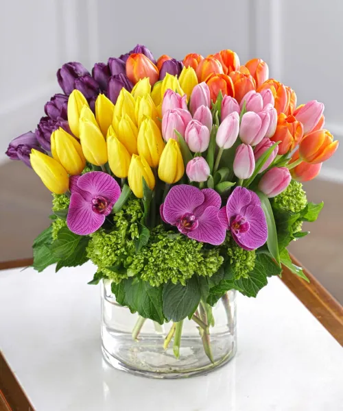 A Frenzy Tulip Bouquet - 80 Tulips - Click Image to Close