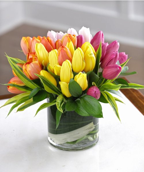 A Mixed Tulip Rainbow Bouquet - 40 Tulips - Click Image to Close