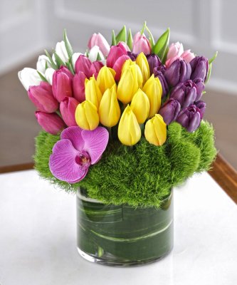 Absolute Tulip Bouquet- 50 Tulips