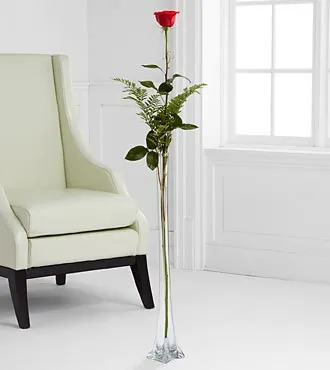 (image for) Ultimate Rose