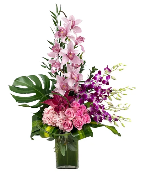 (image for) Orchid Mirage Arrangement