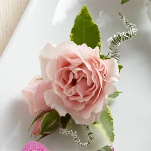 The Pink Spray Rose Boutonniere