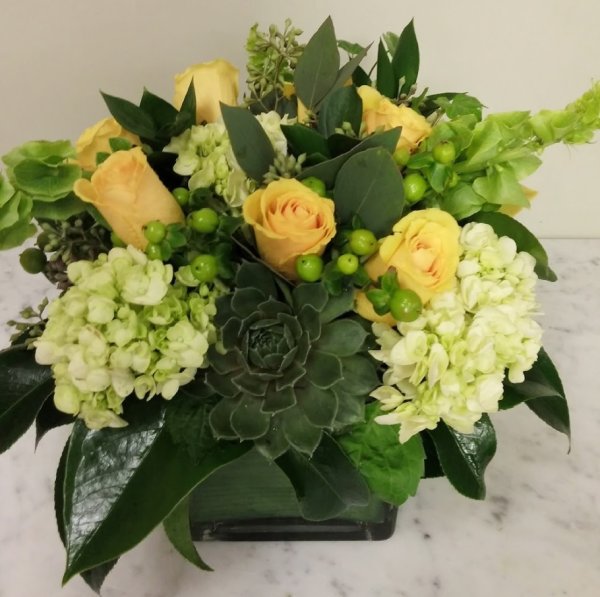 Delightful Succulent Bouquet