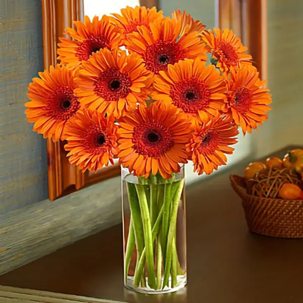 Orange Gerbera Daisy Bouquet - Click Image to Close