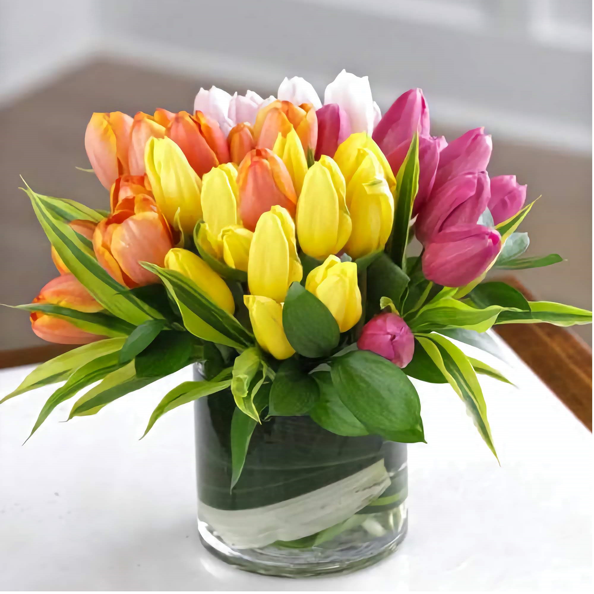 ロイベッサー『BEAUTIFUL TULIPS』★オリジナル作品★ Innuendo | Rotteveel Bulb Company