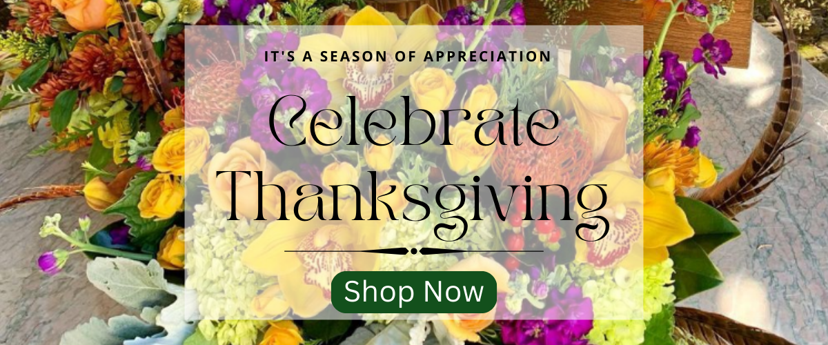 (image for) Thanksgiving Celebration