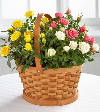 Rose Garden Basket - Click Image to Close
