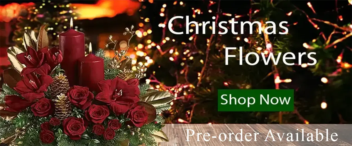 Christmas Flower Pre-Order (image for) Christmas Flower Pre-Order