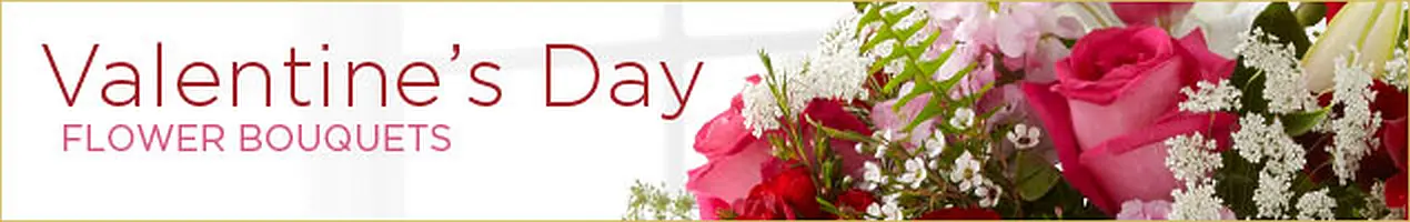 Valentine's Day (image for) Valentine's Day