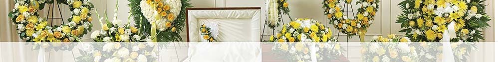 (image for) Yellow Sympathy Collection