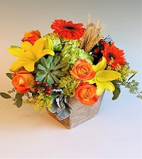 Spring Flowers