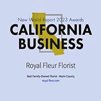 New World Report  California Business Award